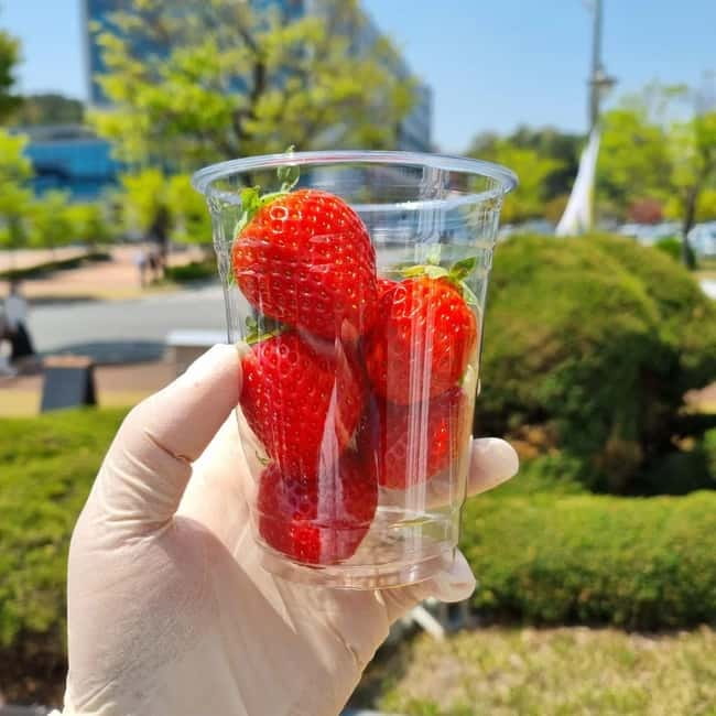 Seoul: Winter Day Tour in Pocheon (+Strawberry Picking) - Sanjeong Lake: Frozen Views, Photo Time, and a Paddle Boat Reality Check