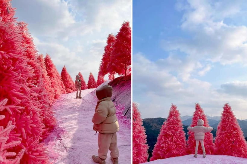 Seoul: Winter Day Tour in Pocheon (+Strawberry Picking) - Ice Wall Cafe: When You Want Warmth With Your Pictures