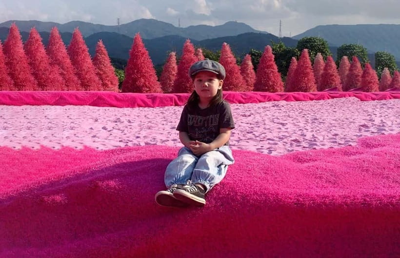 Seoul: Winter Day Tour in Pocheon (+Strawberry Picking) - Atal Strawberry Farm: Picking and Tasting Real Winter Fruit Fun