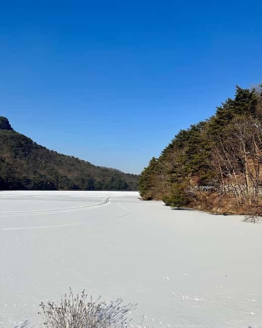 Seoul: Winter Day Tour in Pocheon (+Strawberry Picking) - Pickup, Drop-Off, and How to Get Time Back