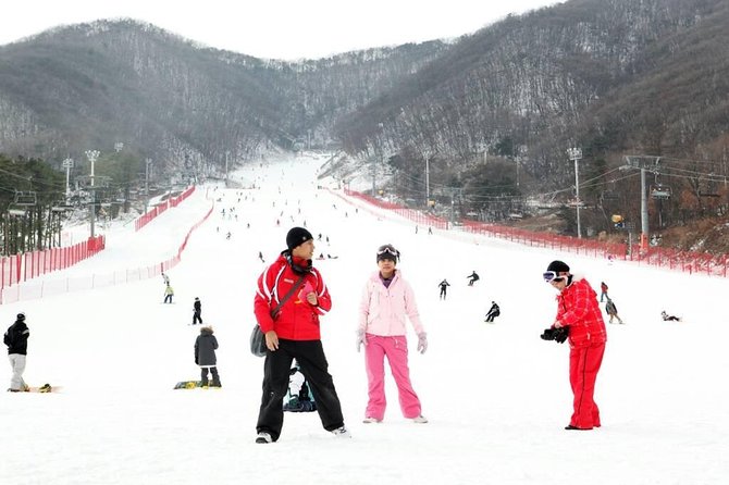 Ski Tour to Jisan Ski Resort from Seoul - Jisan Forest vs Yangji Pine, what changes for you