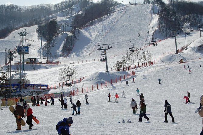 Ski Tour to Jisan Ski Resort from Seoul - Ski Tour upgrade: lesson, gear, and getting to the lifts