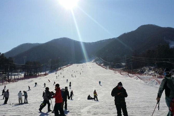 Ski Tour to Jisan Ski Resort from Seoul - Your first choice: Snow Tour and Snow Slide without skiing