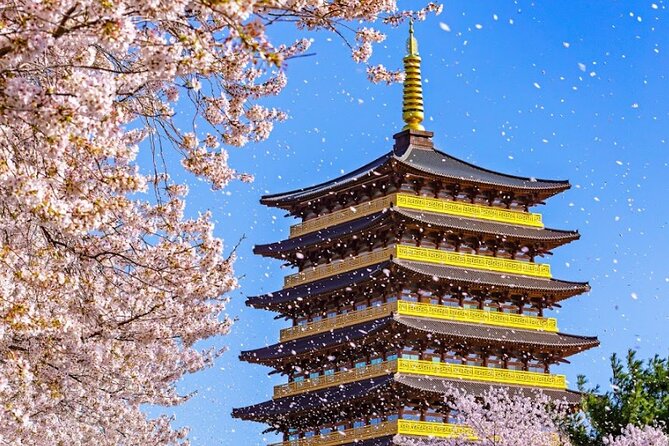 Sky Capsule with Cherry Blossom & Spring Flowers Tour from Busan - Haeundae Blueline Park to Cheongsapo Station: The 90-Minute Glass Capsule Ride