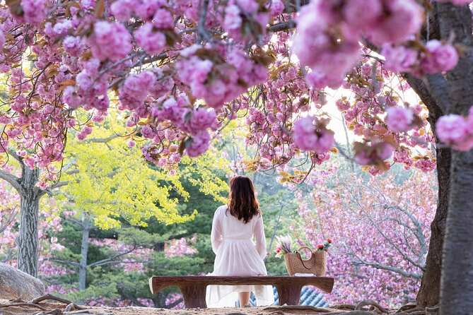 Sky Capsule with Cherry Blossom & Spring Flowers Tour from Busan - How the Day Runs: Group Size, Shared Capsules, and Timing