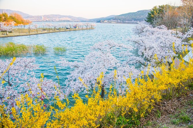 Sky Capsule with Cherry Blossom & Spring Flowers Tour from Busan - Practical Tips for Better Photos and a Smoother Day
