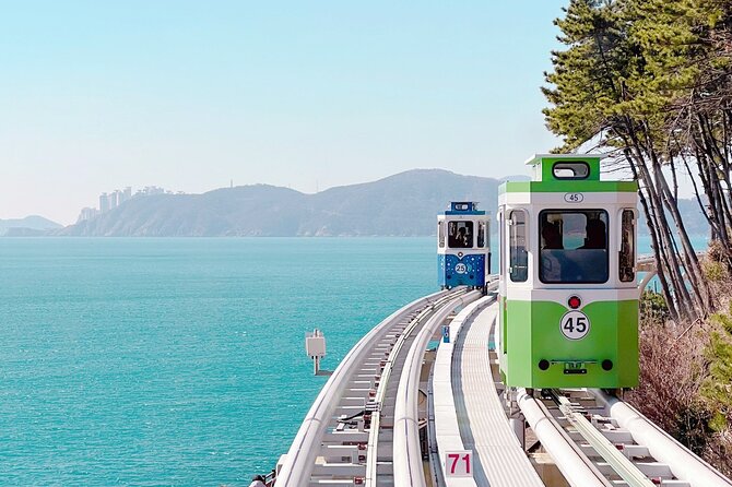 Sky Capsule with Cherry Blossom & Spring Flowers Tour from Busan - Who This Tour Fits Best