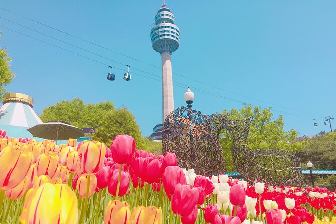 Sky Capsule with Cherry Blossom & Spring Flowers Tour from Busan - Should You Book This Busan Sky Capsule and Spring Flowers Tour?