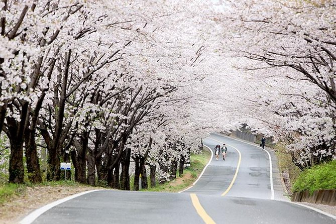 Small Group 7D Korea package Tour with Seoul Gyeongju Busan Jeju - Small-group reality: pick-up, mobile tickets, and guides that keep the day moving