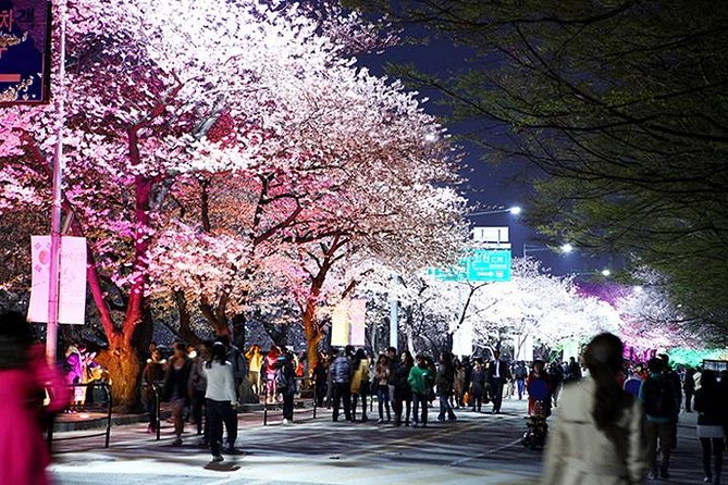 Small Group 7D Korea package Tour with Seoul Gyeongju Busan Jeju - Day 2 on Jeju: Hallasan area, basalt columns, falls, and an art museum stop