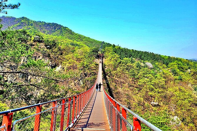 Small-Group DMZ Tour w/ North Korea Experience Hall & Susp.Bridge - Dora Observatory and the telescope view: what to expect when you look north