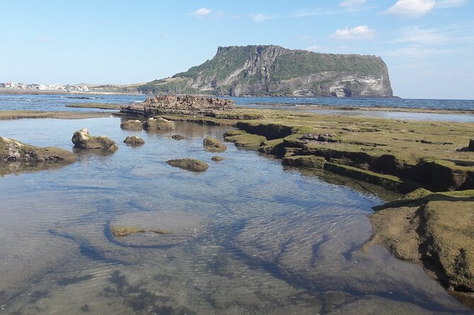 Small group Private Taxi Tour DAY experience in Jeju island - Route choice: Jeju City vs Seogwipo City changes the whole day