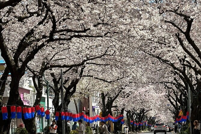 Small Group Tour East Jeju Cherry Blossom & Woman Diver Show - A 9-hour East Jeju spring plan that stays human-scale