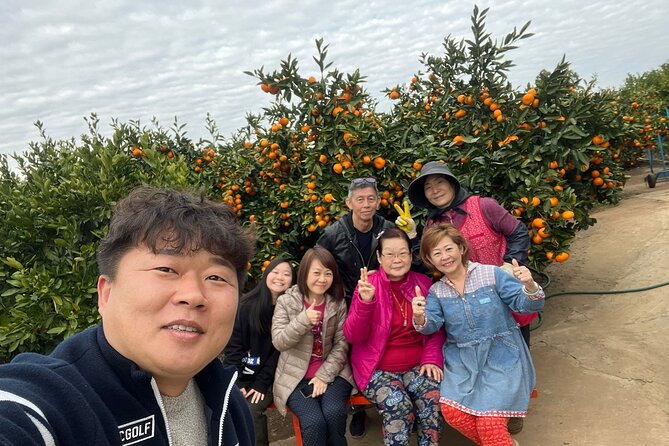 Small group tour FULL - PACKAGE Tour to All Areas in Jeju Island - Key points that make this Jeju day worth your time