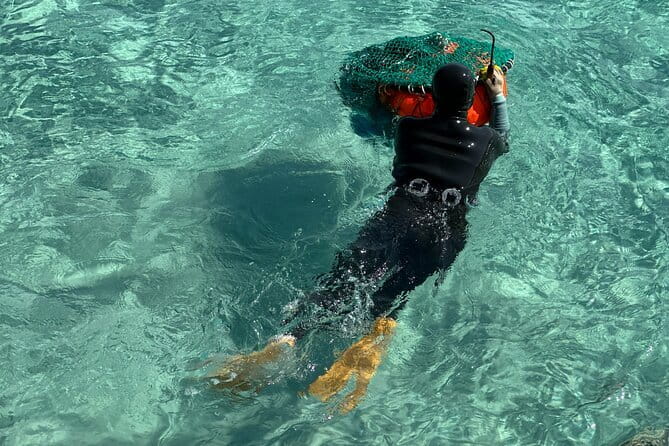 Small Group Tour in East Jeju Healing Island w/Woman Divers Show - Price and What $110 Really Buys You