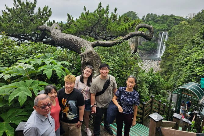 Small Group Tour in East Jeju Healing Island w/Woman Divers Show - Bijarim Forest: Walking Under 2,800 Ancient Bija Trees