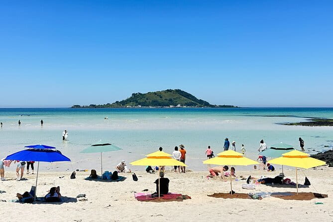 Small Group Tour in West Jeju Healing Island w/Caves & Dolphins - Key highlights worth planning around