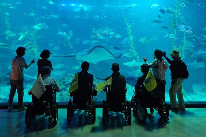 Small Group Tour in West Jeju Healing Island w/Caves & Dolphins - Hyeopjae Beach: silver sand, sea color, and a calm break