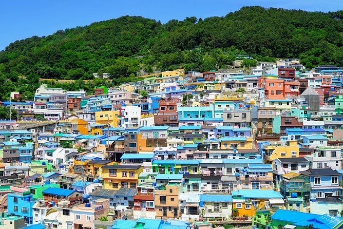 Small Group Tour of Busan Highlights by licensed tour guide - Why Busan feels like a day-long puzzle (and how this tour fixes it)