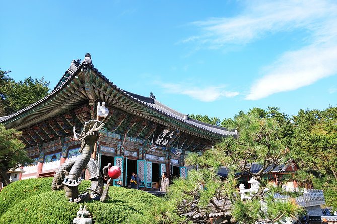 Small Group Tour of Busan Highlights by licensed tour guide - Haedong Yonggungsa: ocean panoramas and a calm temple start