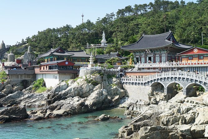 Small Group Tour of Busan Highlights by licensed tour guide - Cheongsapo Daritdol Skywalk: a short stop with a big view payoff