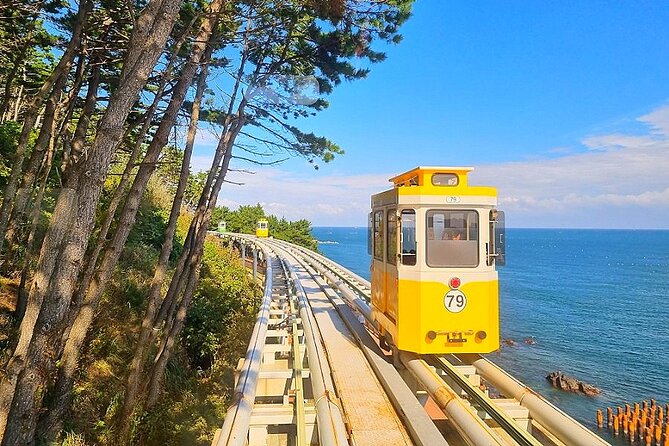 Small Group Tour of Busan Highlights by licensed tour guide - Haeundae Blue Line Park: beach train included, sky capsule is your choice