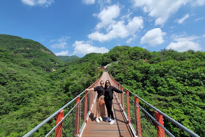 Small Group Tour to DMZ & Suspension Bridge with Hotel Pickup - Getting Into the DMZ Zone on Transit: The Blue-Line Moment