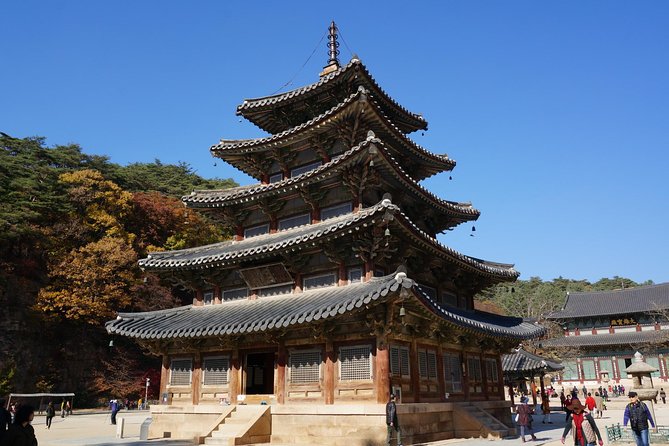 Songnisan National Park & Beopjusa Temple UNESCO site Private Tour - Beopjusa UNESCO plus Songnisan nature, in one well-paced day