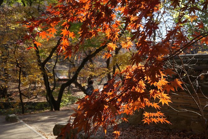 Songnisan National Park & Beopjusa Temple UNESCO site Private Tour - Price and value: is $248 per person fair?