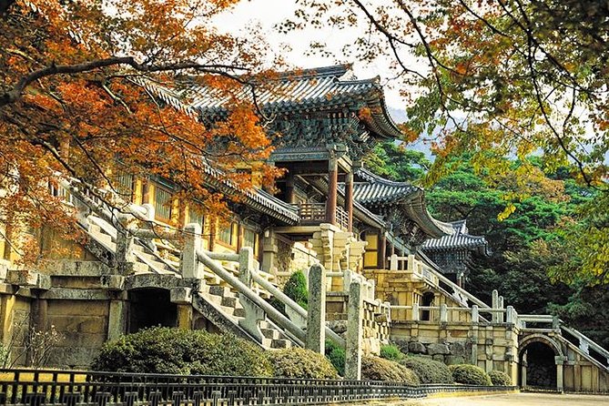 South Korea Highlights 7D/6N - Yeosu Marine Cable Car, Jinjuseong Fortress, then Busan Time on Your Own