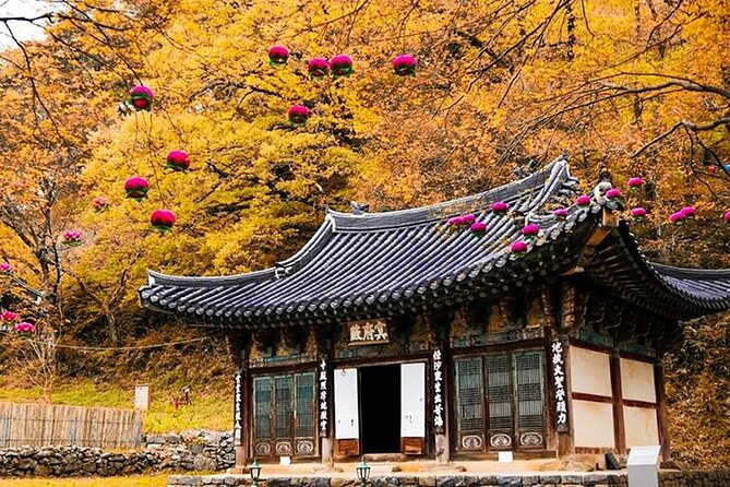 South Korea Highlights 7D/6N - Gyeongju: Silla Power Sites and Cheomseongdae Observatory