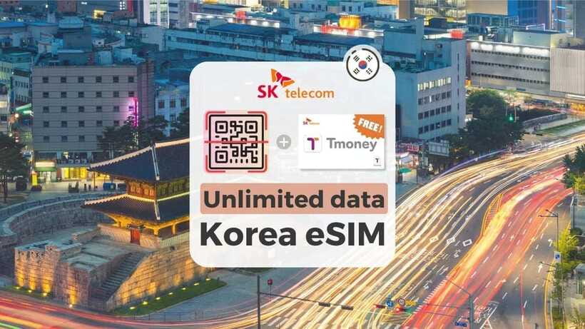 South Korea: Unlimited Data and Voice eSIM - If Your eSIM Does Not Show Up: The Fast Fix Checklist