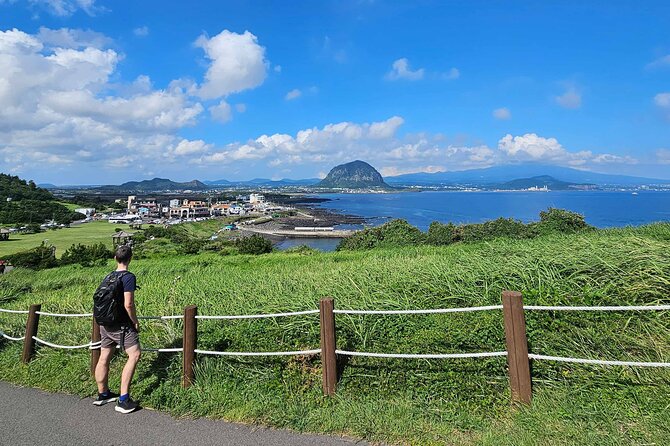 South-West Jeju Essentials: Hallasan & Signature Highlights - Southwest Jeju in One Full Day: What This Tour Gets Right