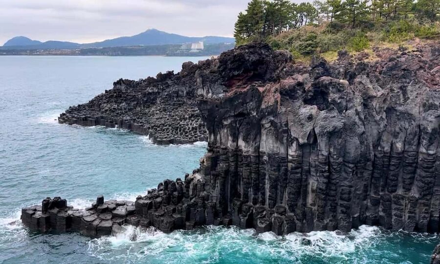 Southern Jeju Healing UNESCO Small Group Day Tour - How the guide makes the day feel easier (and more worth it)