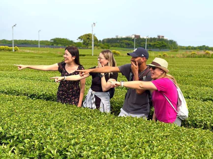 Southern Jeju Healing UNESCO Small Group Day Tour - Morning pickup in Jeju City, then straight into the strange