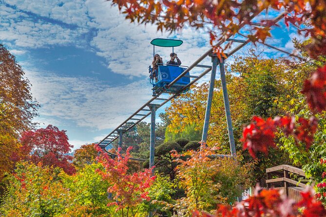 Special Private Tour Nami Island, Rail Bike, Petite France - Price and Time: Does $275 Per Person Make Sense?