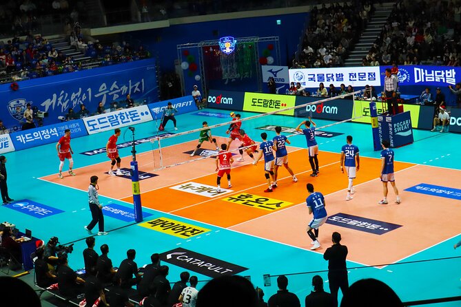 Sports Match in Seoul with Guided K-Food Experience - Who this tour suits best, and who should think twice