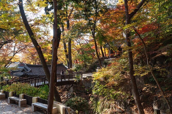 Street photoshoot and Seoul Hidden gem History Walking Tour - Who this walking photo tour fits best (and who might not love it)