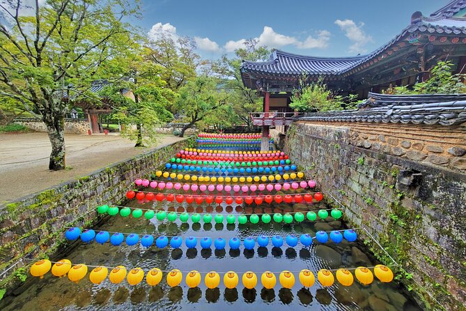 Suncheon one day tour from Seoul, Busan or Suncheon - Key Highlights You Should Care About