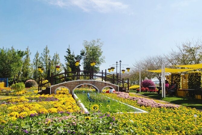 Suncheon one day tour from Seoul, Busan or Suncheon - Suncheon Bay Garden: Tulips, Canola Waves, and the Reed-Trolley Transfer