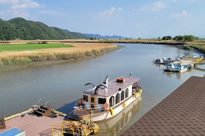 Suncheon one day tour from Seoul, Busan or Suncheon - Suncheon Bay Wetland Reserve: Why the Lists Keep Pointing Here