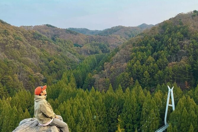 Suwon Hwaseong Fortress & Jangtaesan Full-Day Tour: Autumn Leaves - A 12-hour autumn reset: forest air, then fortress walls