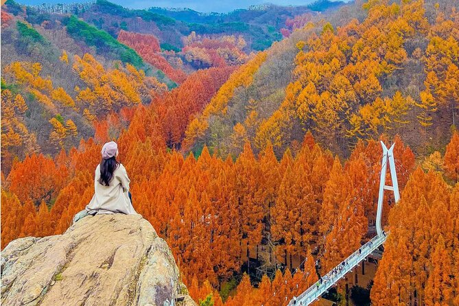 Suwon Hwaseong Fortress & Jangtaesan Full-Day Tour: Autumn Leaves - Guide quality you should pay attention to (Mac and JUN)
