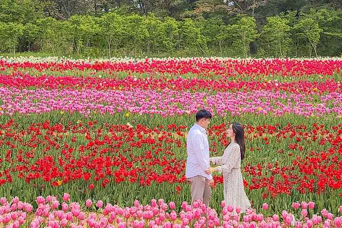 Taean Tulip Festival and Strawberry Picking Day Tour from Seoul - Key highlights if you only remember a few things