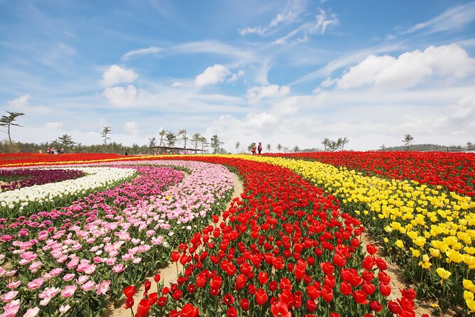 Taean Tulip Festival and Strawberry Picking Day Tour from Seoul - Strawberry Picking at 농업회사법인해미읍성딸기와인(주): Hands-On, Then Take Home Fruit