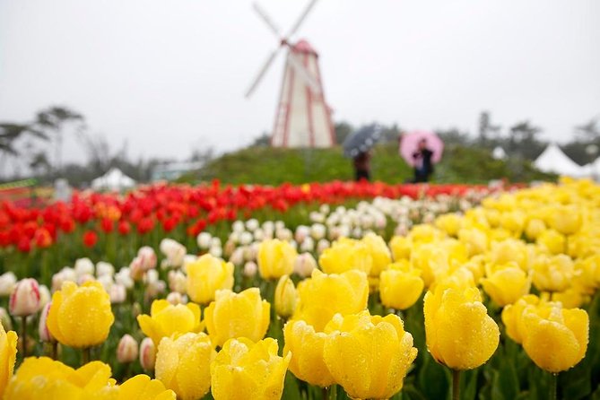 Taean Tulip Festival and Strawberry Picking Day Tour from Seoul - Price and Value: What Your $80 Actually Buys