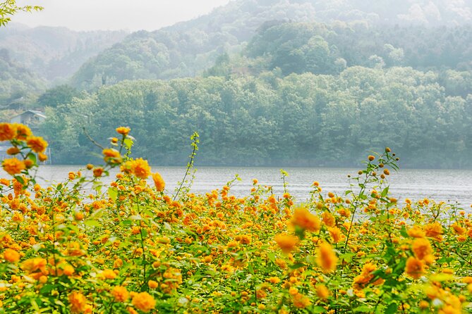 Trip to Nami Island with Petite France & Italian Village, Garden of Morning Calm - Seasonal Add-On: Eobi Ice Valley in Winter Dates