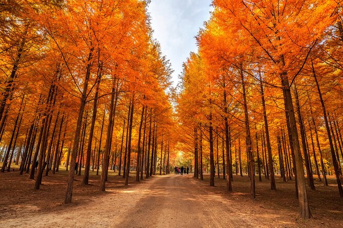 Trip to Nami Island with Petite France & Italian Village, Garden of Morning Calm - The Coach Ride Out From Seoul: Comfort Beats Guesswork