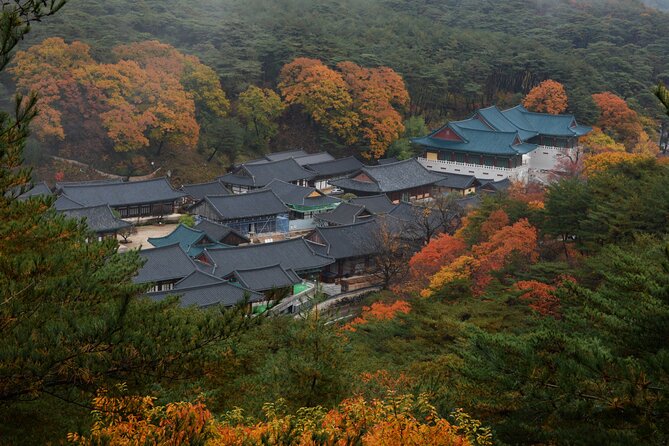 UNESCO Tongdosa Temple + Gourmet Eonyang Style Bulgogi Lunch - The ride from Busan: timing, pacing, and practical expectations