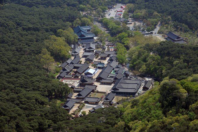UNESCO Tongdosa Temple + Gourmet Eonyang Style Bulgogi Lunch - Price and value: is $212 per person fair